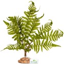 Terrario – Artificial plant for terrarium - Fern 32x15x32 cm